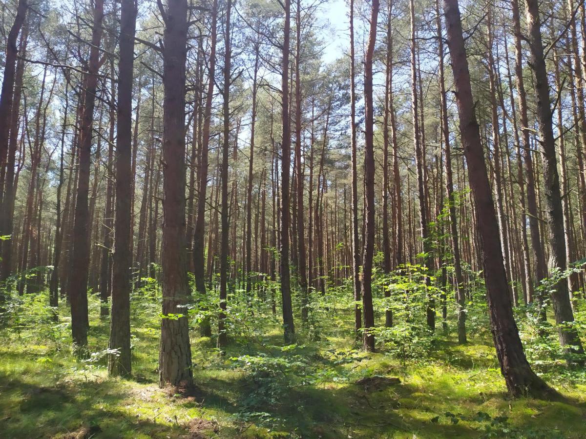 Home&Slow Life Гданьск Экстерьер фото