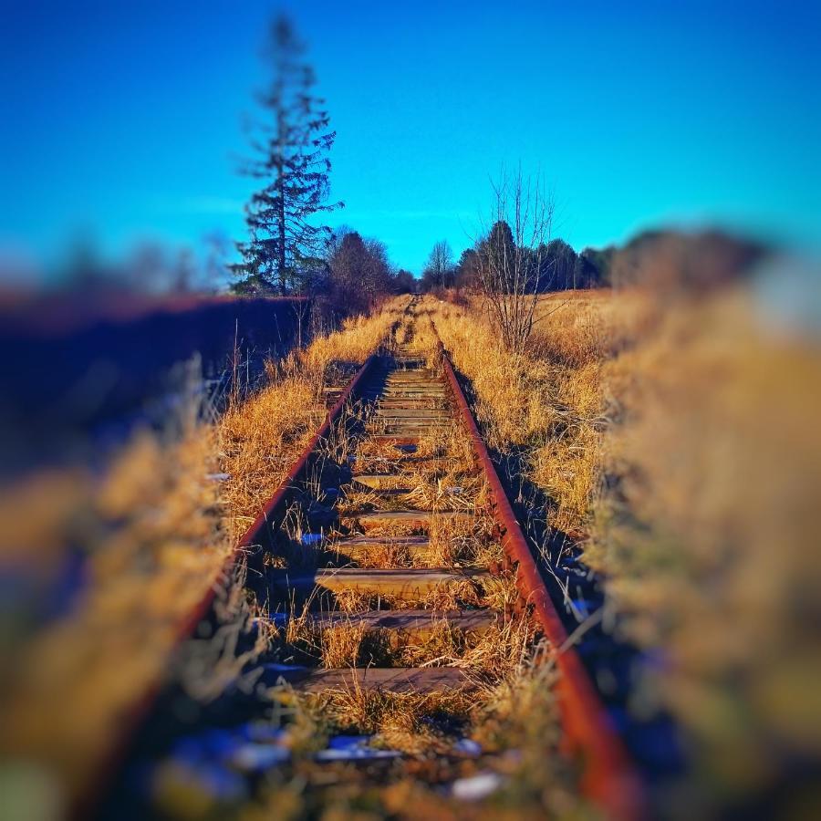 Home&Slow Life Гданьск Экстерьер фото